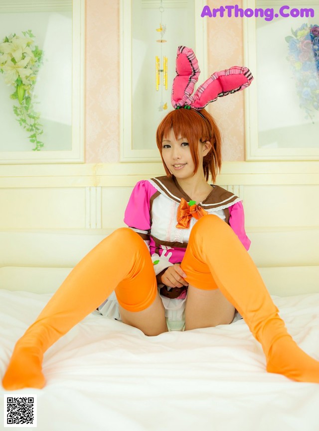 Glossy Rabbit - Korica Hotest Girl No.d4413a